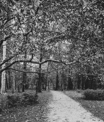 Landscape photography from Croatia, Zagreb in black and white.