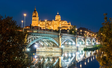 The New Cathedral and the Enrique Estevan bridge in Salamanca - Castile and Leon, Spain