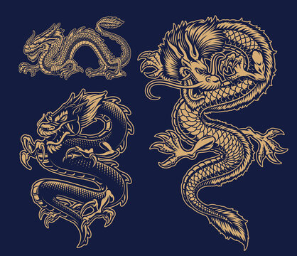 A Set Of Black And White Vector Asian Dragons On Dark Background.