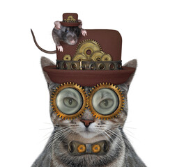 A gray cat steampunk is in a hat with a black rat on it. White background. Isolated.