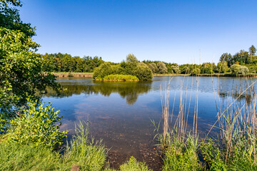 Beautiful hike on the Klosterweiher Weg near Salem