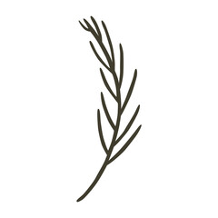Vector illustration: coniferous twig in hand draw hygge style.