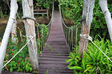 wooden rope bridge in the forest