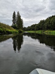 lake and forest