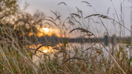 sunset over the lake in Reichstett in France at fall