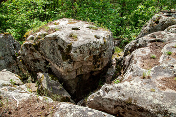 the moss on the rocks