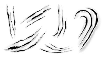 Cat claw scratches on paper. Black torn slashes from wild animal, tiger, bear or lion paws isolated on white background. Vector realistic sharp talons marks, trails and scrapes from monster nails