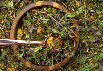 Dry Herbs Different Assortment Alternative Medicine