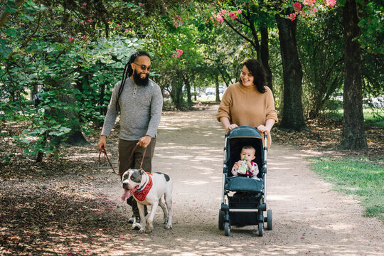 Latinx Couple Walking In Park With Their Baby In Stoller And Pet Dog