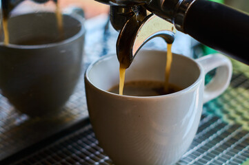 The process of making coffee in white ceramic cup on professional coffee machine.