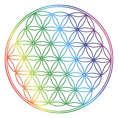 Flower of Life Colorful- Blume des Lebens Farbig- Fleure de Vie Color&eacute;