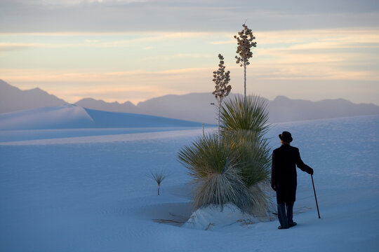 Rear view of man wearing coat and bowler hat standing in snow-covered landscape using cane.