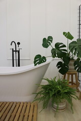  white bathroom with monstera and fern flowers © Tetiana