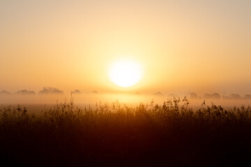 Fototapeta na wymiar sunrise in Westerwolde Netherlands 