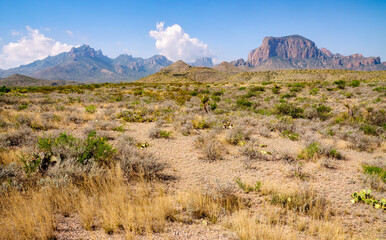 Big Bend National Park