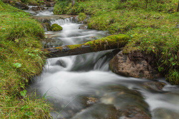 Obraz premium A mountain stream flows in the misty forest