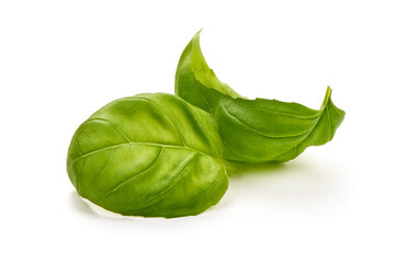 Fresh basil leaves, close-up, isolated on white background
