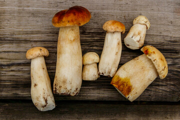 Freshly picked porcini mushrooms on rustic wooden table. Top view