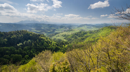Panoramic view from the peak of Mt Wysoka in the Pieniny Mountains, with Mt Three Crowns and the Tatras visible in a distance, Pieniny National Park, Poland