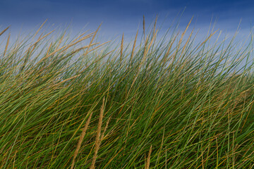 Abstract view of Holkam Beach, Norfolk,  from the Sand Dunes