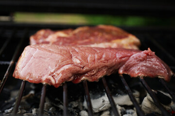 Steak