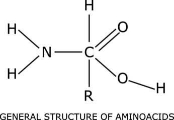 General structure of an amino acid molecular structure, isolated on white background with its name labeled. It has a radical R, an acid group (COOH) and an amino group (NH2)
