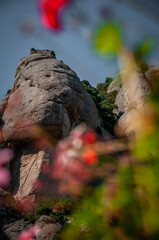 Rock formations and mountains