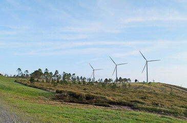 Wind energy generator turbines in a meadow