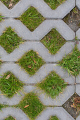Cement grating with green grass, geometric eco-friendly city streets texture background. Environmentally friendly city parking texture