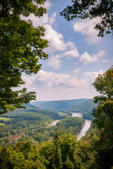 Fototapeta premium Allegheny National Forest