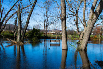 flooded bench