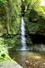 七代の滝（青梅市）