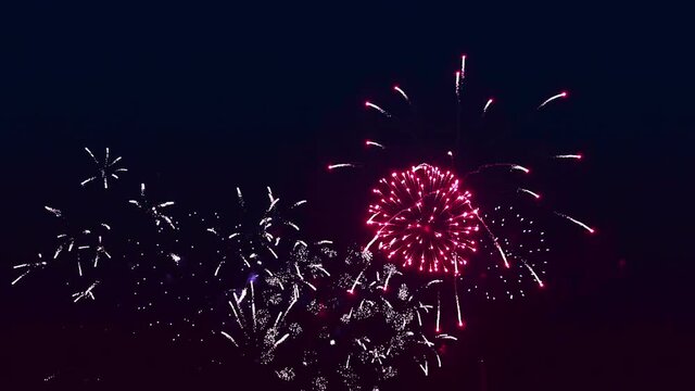 Bright colored fireworks in the night sky. Overall plan
