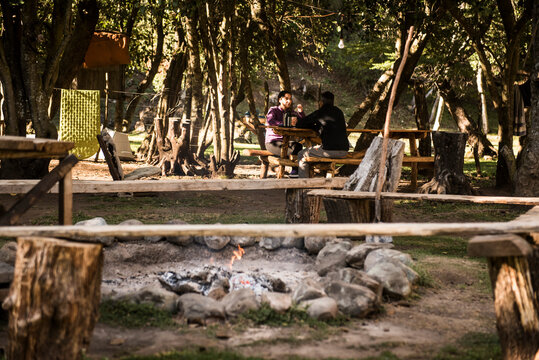 bosque, paisaje natural fogon