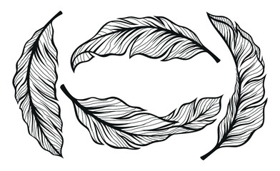 banana leaves illustration. set of vector leaves. hand drawn art. - Vector

