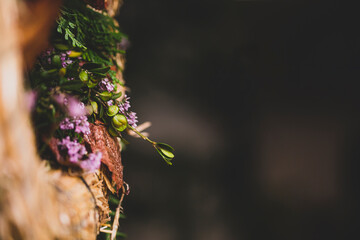 assorted flowers in showcase background with selective blur