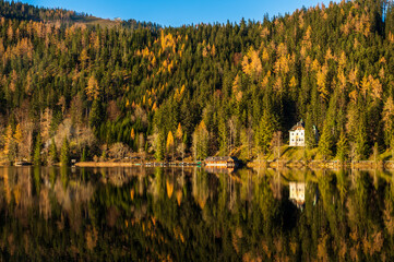 Beautiful forest on lake Erlaufsee on a sunny day