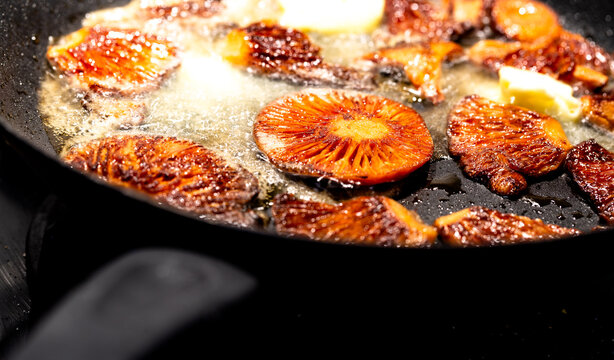 Fried saffron milk cap. Aromatic mushrooms fried in butter. Regional delicacy in the Polish mountains. Shallow depth of field.