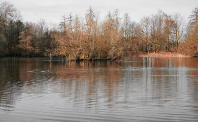 Fototapeta premium Lake in a autumnal forest