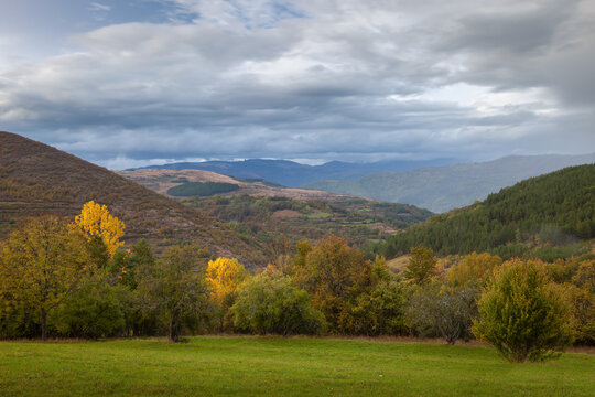 Beautiful autumn colored, golden trees, green field and Babin zub peak in the distance under a cloudy sky