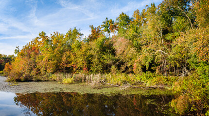Mammoth Cave National Park