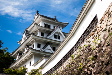 昼の郡上八幡城