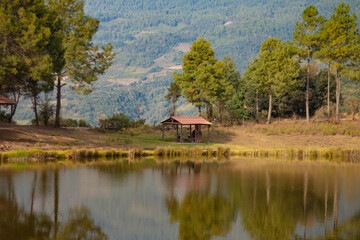 Lago en medio del bosque.