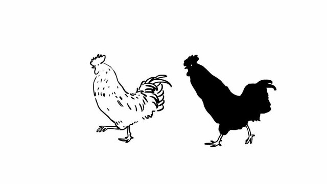 Rooster and hen  (seamless loop animation)