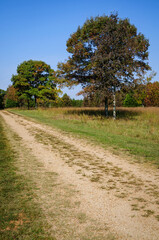 Fototapeta na wymiar Cowpens National Battlefield Park