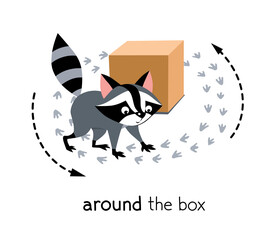 Preposition of movement. Raccoon walks around the box