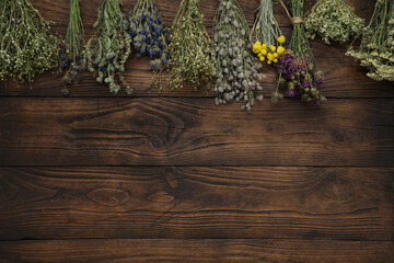 Medicinal plants bunches on brown wooden board. Top view, flat lay. Alternative medicine.