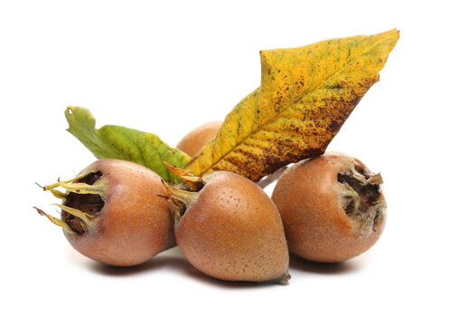 Fresh medlar with yellow green leaves isolated on white background