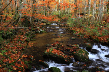 紅葉の桃洞渓谷