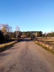 country road in autumn